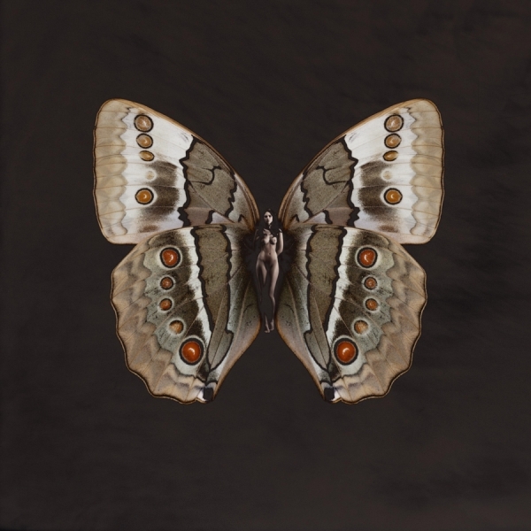 Photograph Carsten Witte Butterfly 1 on One Eyeland